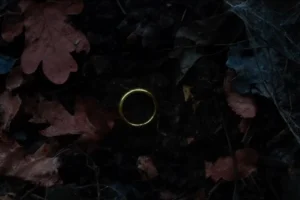 El Anillo en el Bosque Negro