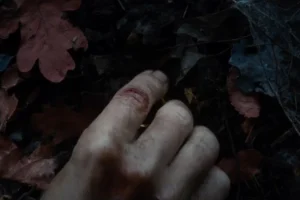Bilbo halla el Anillo