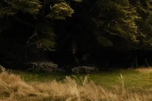 Beorn, furioso