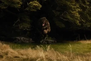 Beorn, muy furioso