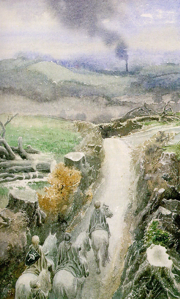 La purga de la Comarca