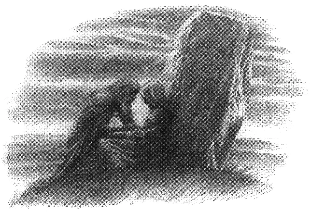 Piedra de los Desventurados