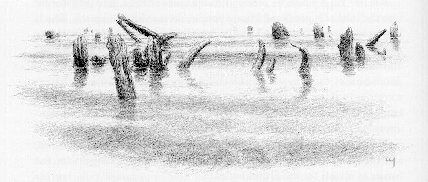 «Allí, durante siglos, sus enormes huesos fueron visibles, cuando hacía buen tiempo, entre los escombros de la antigua ciudad». Por Alan Lee