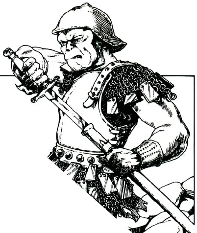 El Medio Orco en el juego de rol de la Tierra Media
