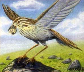Juego de cartas coleccionables de la Tierra Media