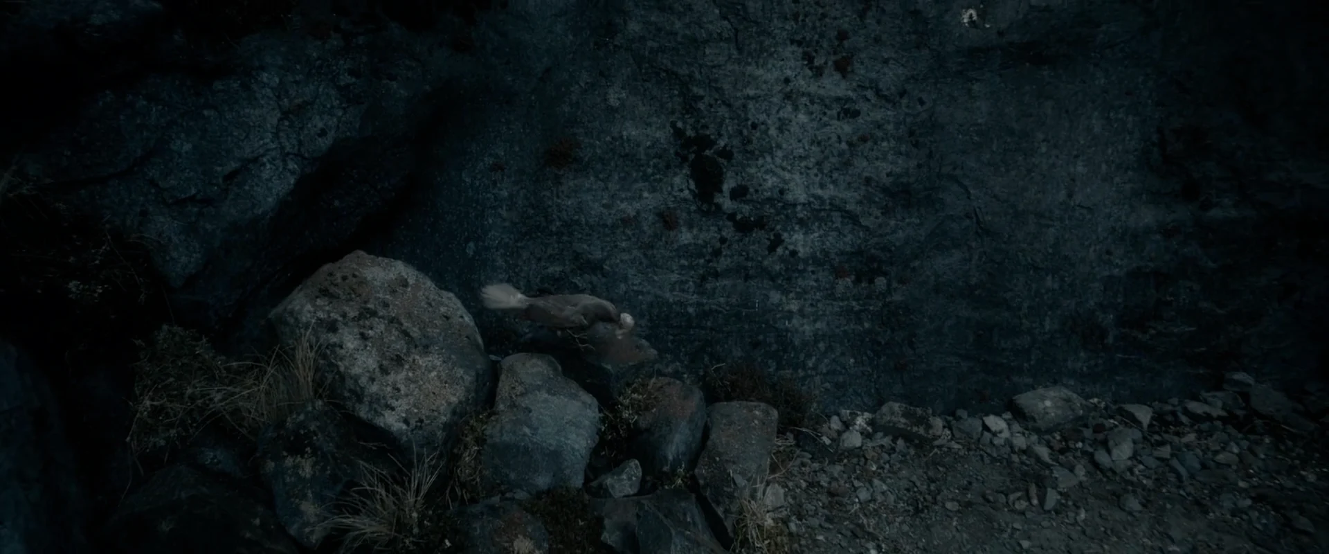 El hobbit: La desolación de Smaug